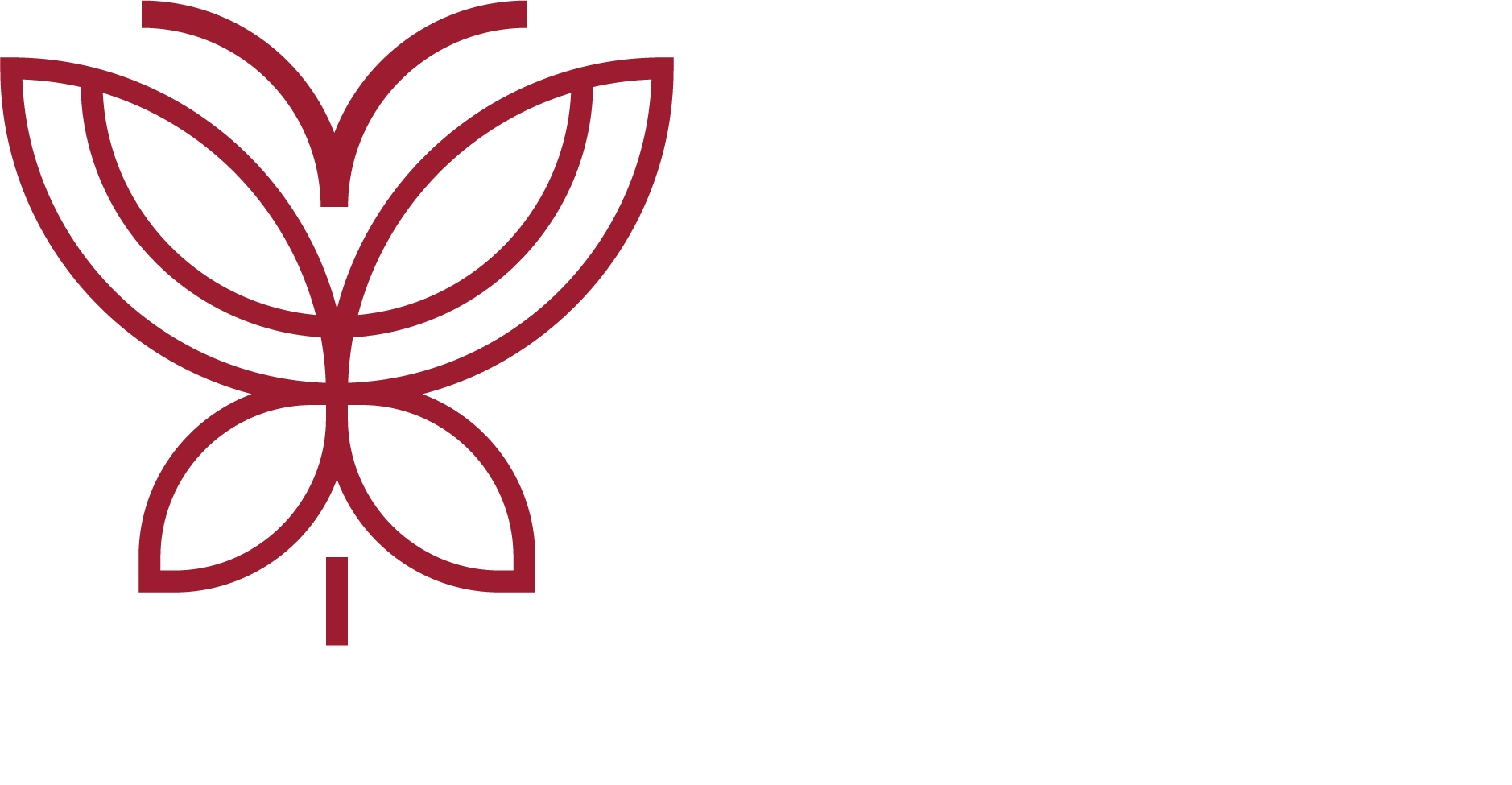 Healthy Cola